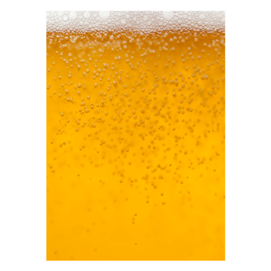 Drink Wisconsinbly Buying You a Beer Greeting Card