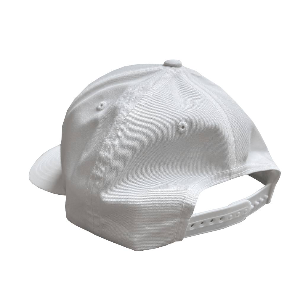 Drink Wisconsinbly DW Collegiate Snapback Hat Back