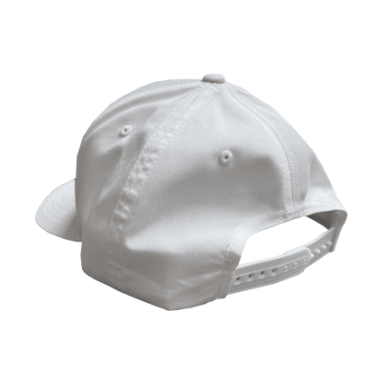 Drink Wisconsinbly DW Collegiate Snapback Hat Back