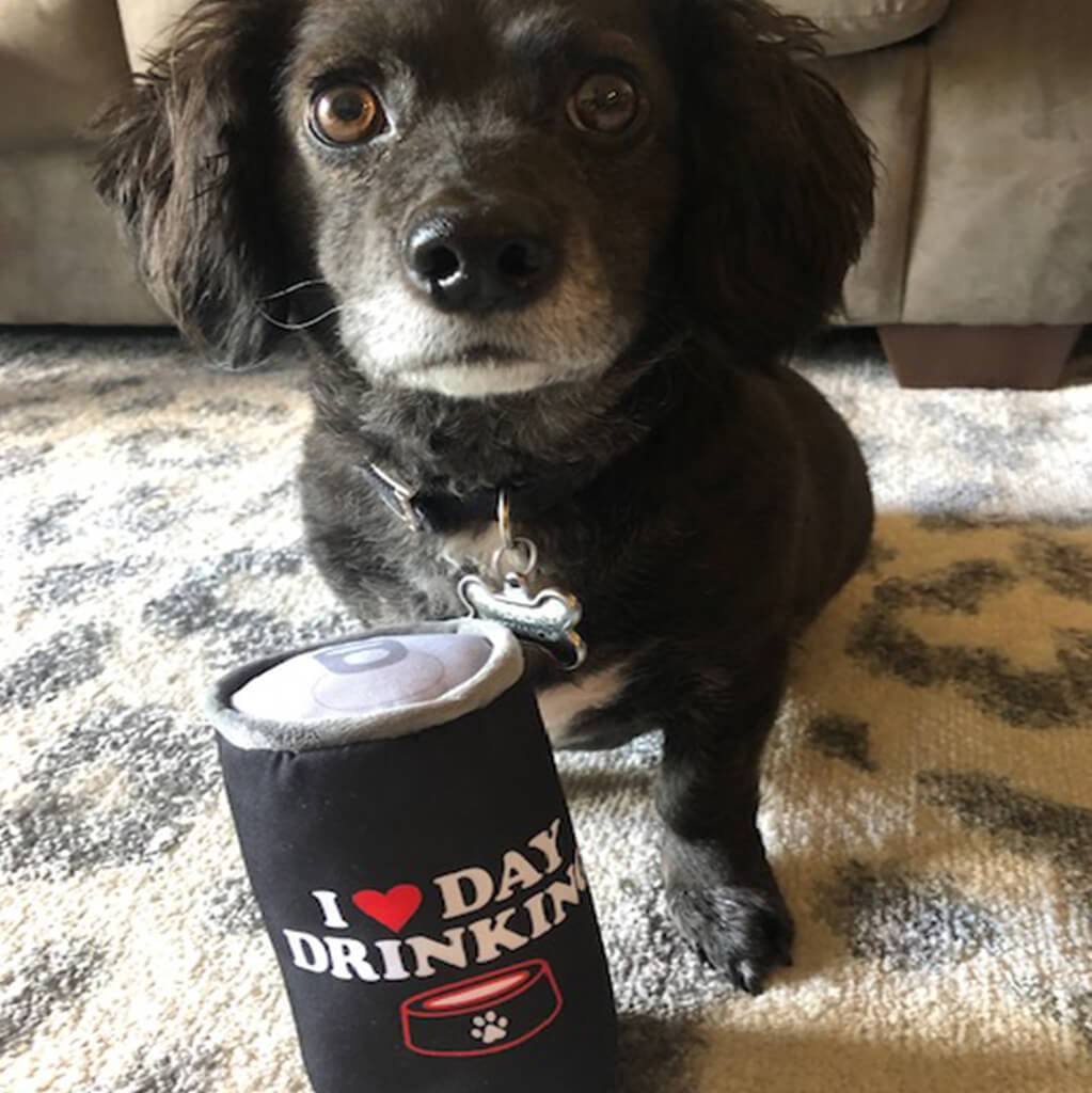 Wag Wisconsinbly "I Love Day Drinking" Plush Toy