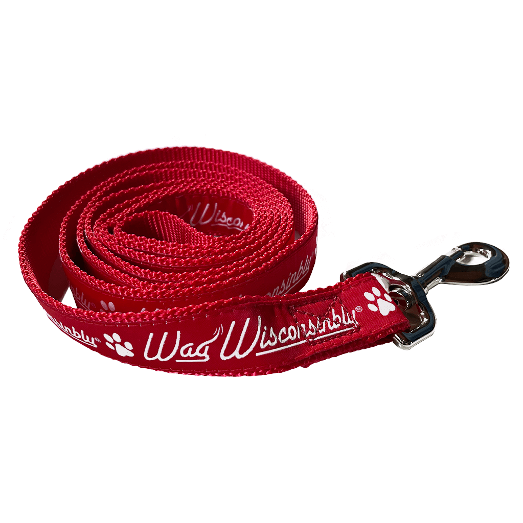 Wag Wisconsinbly Dog Leash
